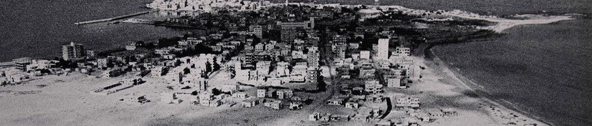 الفينيقيون