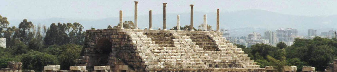 Lebanese Committee
