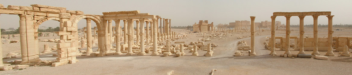 Comité syrien