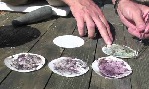 Purple Dye Workshop