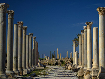 Visit Tyre